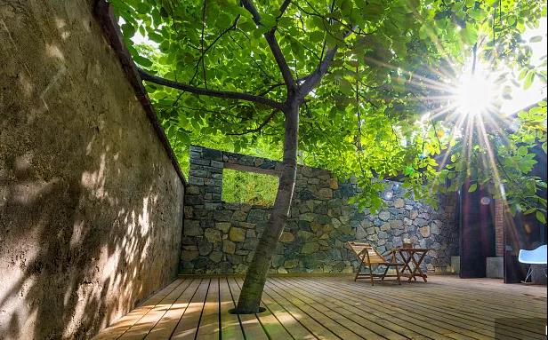 同信·愛家壹號(hào)|曾經(jīng)江湖策馬，如今院里觀花！